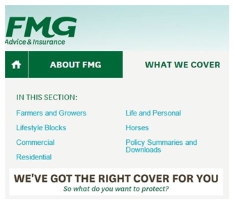 fmg offer